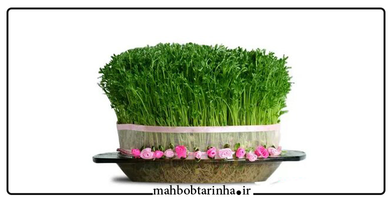ایده تزئین سبزه عید نوروز 1401