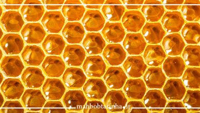 تصویر از چرا کندوی زنبور 6 ضلعی است؟